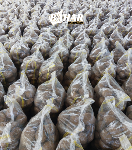 خدمات بسته بندی سیب زمینی