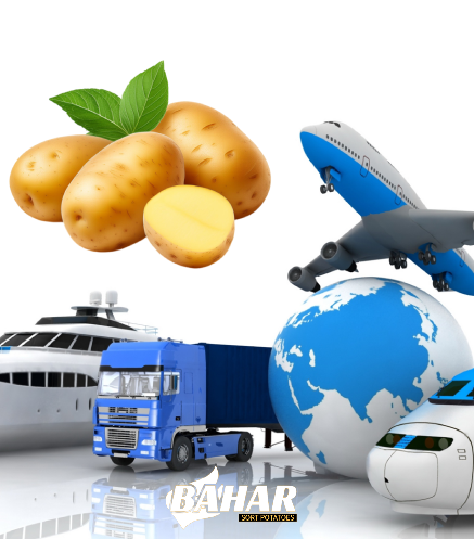 مشاوره صادرات سیب زمینی